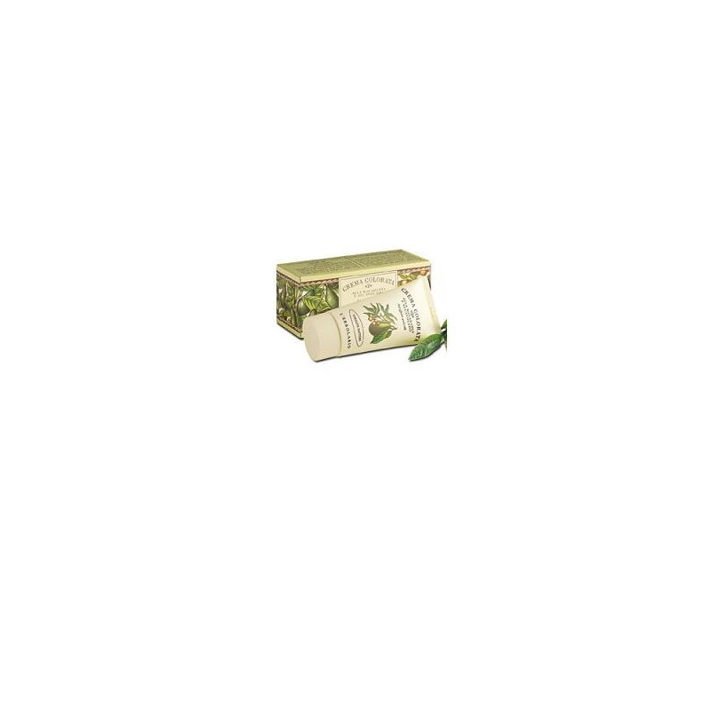 CREMA COLORATA MAC/AVO 2 NOCC