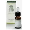 CAMOMILLA ROMANA Olio Essenziale 5ML