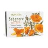 SEDANERV TISANA 20 Bustine FILTRO