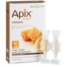 APIX AEROSOL 10 FlaconiIALE MONODOSE