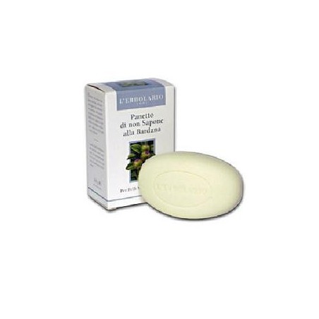 PANETTO NON SAP BARDANA 100G