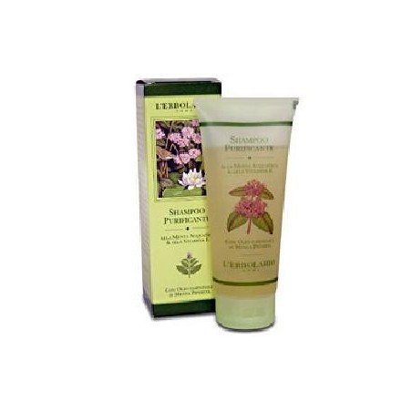 SHAMPOO PURIFICANTE MENTA/VIT