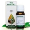 Olio Essenziale ALLORO 10ML