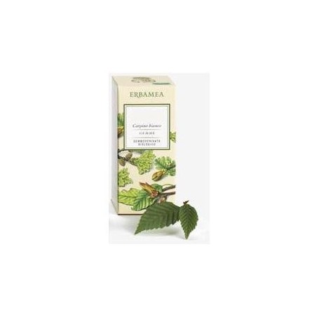 TILIA TORMENTOSA GEMME GD BIO