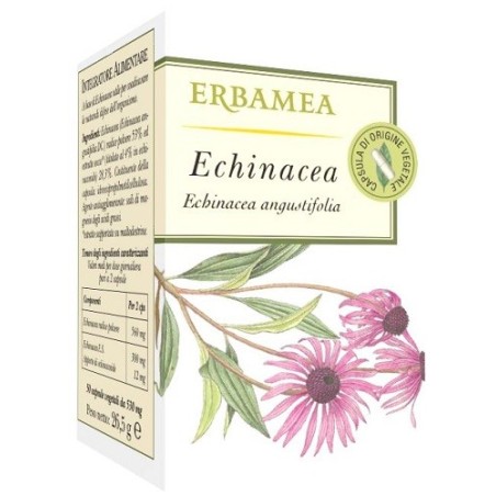 ECHINACEA 50 Capsule