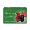 VITE ROSSA GAMBE 30 Compresse