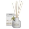 OSMANTHUS FRAGRANZA LEGNI PROF