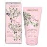 TRA I CILIEGI SCRUB MAGICAZION