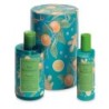 GIN BOTANICALS BEAUTY BOX BACC
