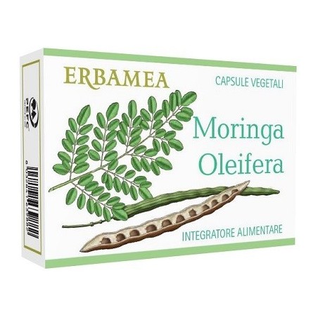 MORINGA OLEIFERA 24 Capsule