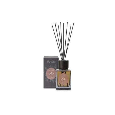 NASOTERAPIA DIFF OUD ROSA200ML